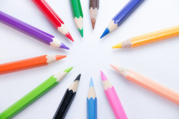 Fototapeta premium 12 colors for draw 
