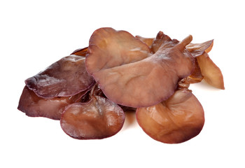 Black Fungus (Jew's Ear Mushroom ) on white background