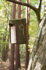 Nistkasten im Wald