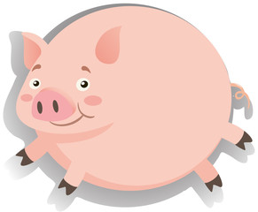 Fat pig with happy face