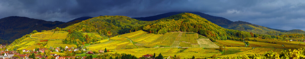 Fototapeta na wymiar Beautiful panoramic view to Andlau, France
