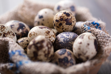 Obraz premium Quail eggs in a wooden bowl on a gray background, close up