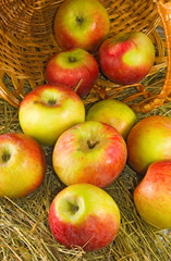 image of  ripe apples in a basket close up