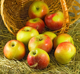 image of  ripe apples in a basket closeup