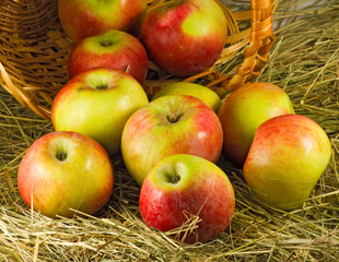 image of ripe apples closeup