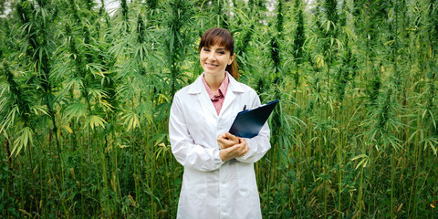 Confident doctor posing in a hemp field