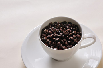 Coffee  beans. Coffee Background.	A cup of coffee and beans Background
