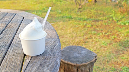 公園のアイスクリーム ice cream