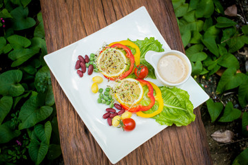 Delicious healthy salad on a dish.