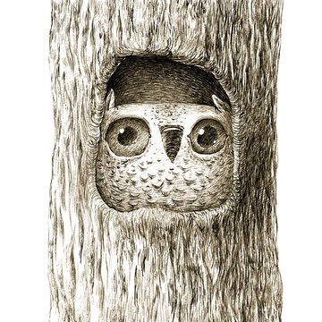 Сute Baby Owl Sitting in the Tree Hollow