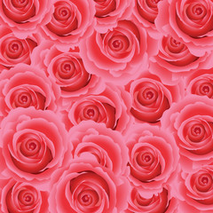 Pink rose floral background.  Vector illustration