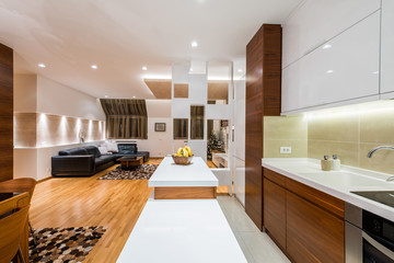 Interior of a luxury apartment