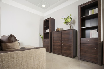 Classic wooden furniture in living room