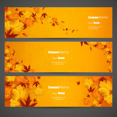 Vector set of colorful autumn leaves banners illustration 