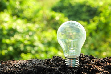idea and energy concept Light bulb in soil