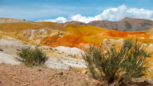 Altai red clay desert landscape in Kosh-Agach hollow near Kyzyl-Chin river with Caragana pygmaea on foreground 
