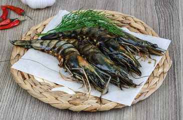 Raw tiger shrimps