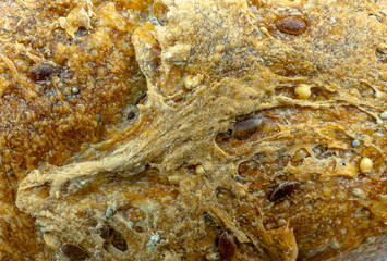 ecological wheat and rye bread texture