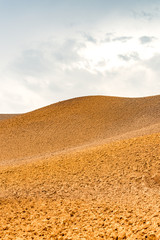 Fields in Tuscany