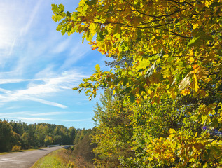 Country road.