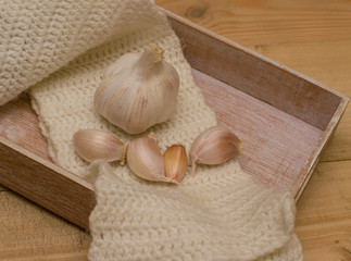 garlic in to tray