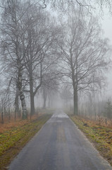 Droga na wsi w mglisty, jesienny poranek