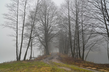 Droga na grobli w mglisty, jesienny poranek, jezioro Kołbackie koło wsi Czarne Wielkie
