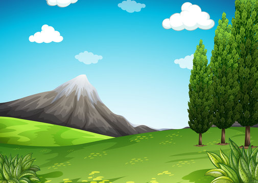Nature scene with mountain and field