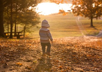 Fototapeta premium Little boy walking in autumnal landscape