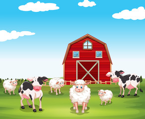 Fototapeta na wymiar Sheeps and cows on the farm