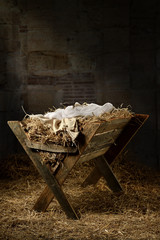 Empty Manger in Stable