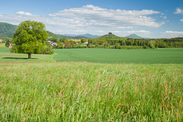 Sommer in der Sächsischen Schweiz