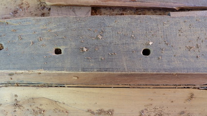 wood plank and sawdust