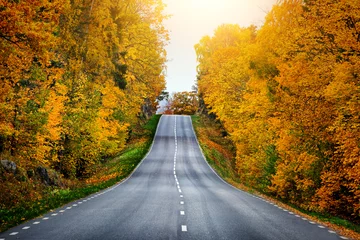 Papier Peint photo Lavable Automne Route panoramique d& 39 automne en Suède