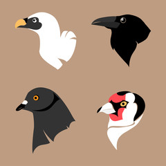 Set of birds. Vector Illustration