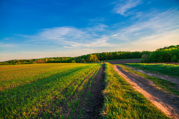 green field