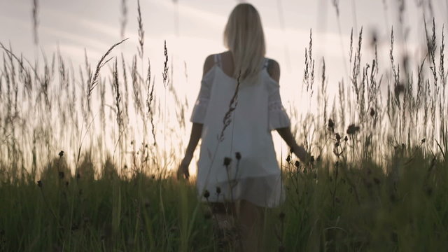 Girl in the field. sunset