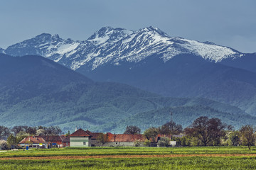Obraz premium Peaceful rural scenery with traditional Romanian village at the base of snowy Fagaras mountains during spring season.