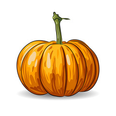vector pumpkin isolated on white background