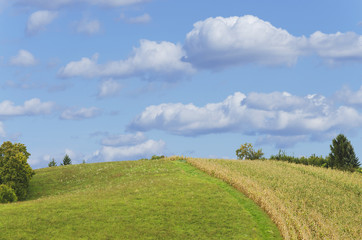 Fototapeta na wymiar hill with corn field on a beautiful autumn day