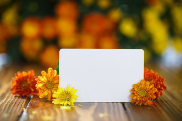 beautiful bouquet of bright chrysanthemums