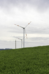 Wind Turbines in Field of wheat and corn. There are several wind turbines in the picture, in a cultivated field.