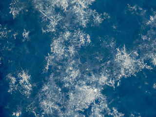 Fototapeta na wymiar Snowflakes