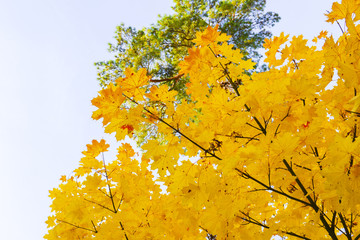 Wunderschöne Herbstlandschaft