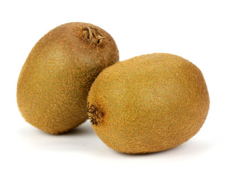 Fototapeta premium Kiwi fruit isolated on white background!