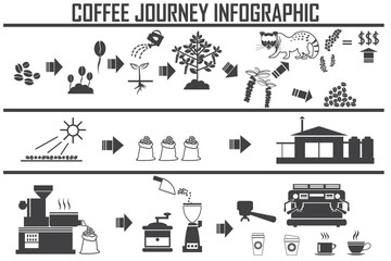 Coffee infographic flat vector illustration. Preparation coffee