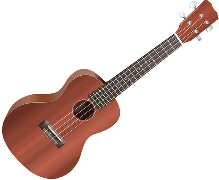 Isolated Ukulele on white background.