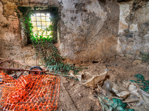 Nature reclaiming old cellar, building.