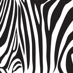 zebra stripe print vector