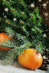 Fototapeta na wymiar Christmas New Year composition with fir branches and orange tang